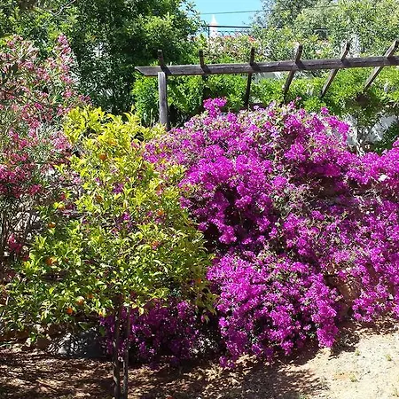 Casa Boa Sorte Willa *