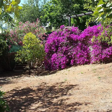 Casa Boa Sorte Willa