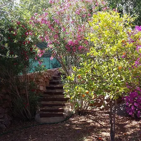 Casa Boa Sorte São Brás de Alportel