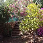 Casa Boa Sorte São Brás de Alportel