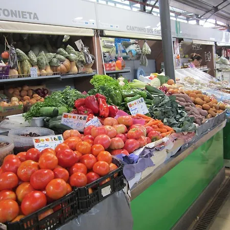 别墅 Casa Boa Sorte *